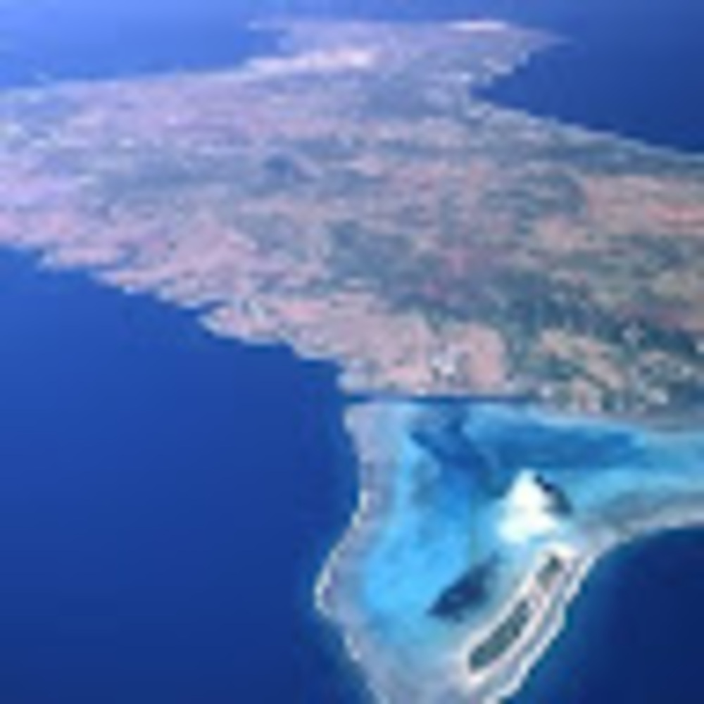 Meet your Posher, Frank